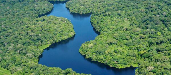 Amazônia (arquivo) - Sputnik Brasil