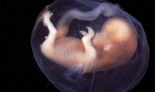 Bebês geneticamente modificados: um dos grandes dilemas da ciência no século XXI Bebês geneticamente modificados: um dos grandes dilemas da ciência no século XXI - Sputnik Brasil