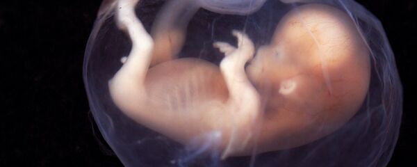 Embrião humano - Sputnik Brasil