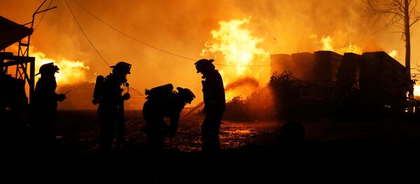 Bombeiros apagam incêndios florestais no Chile - Sputnik Brasil