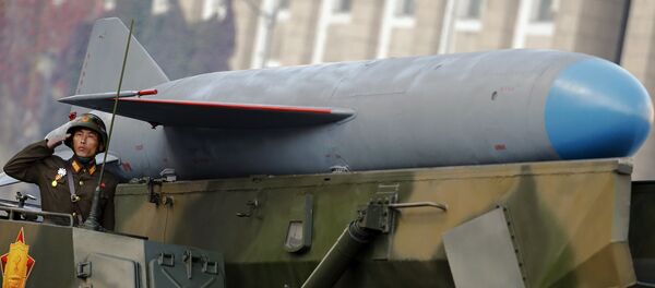 Soldado norte-coreano perto do veículo que conduz um míssil - Sputnik Brasil