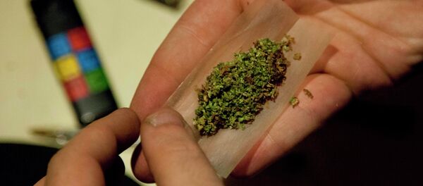 Marijuana - Sputnik Brasil