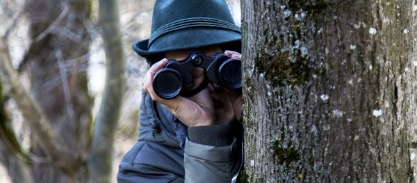 Espião trabalhando - Sputnik Brasil