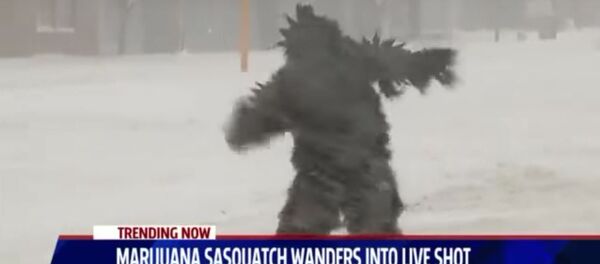 Ieti que apareceu durante a nevasca na scidade norte-americana de Springfield - Sputnik Brasil