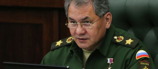 Sergei Shoigu, ministro da Defesa da Rússia - Sputnik Brasil
