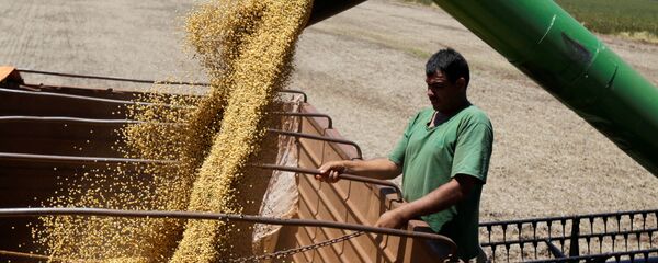 Soja é a principal commodity brasileira que interessa aos chineses - Sputnik Brasil