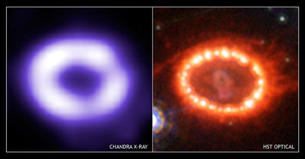A Supernova 1987A em agosto de 2005  - Sputnik Brasil