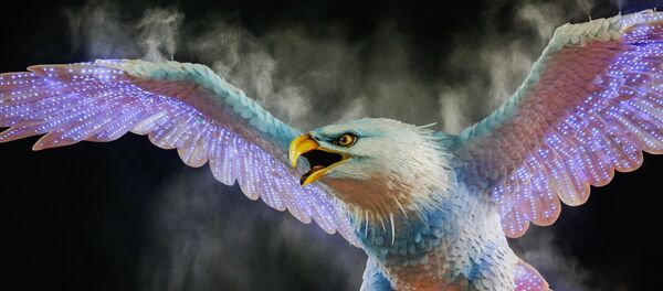 Falcão, uma das instalações da Portela, 27 de fevereiro de 2017 - Sputnik Brasil