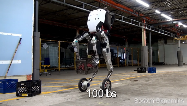 Conheça Handle, o robô 'omnipotente' - Sputnik Brasil