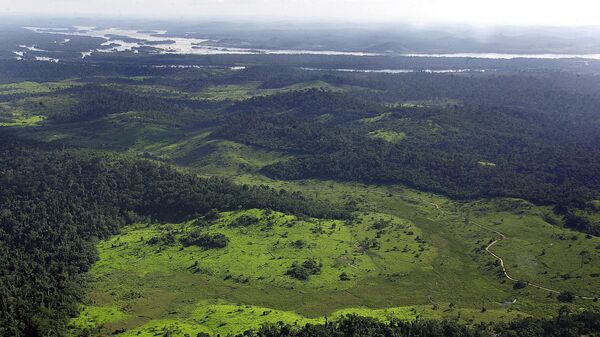 Civilizações pré-colombianas moldaram Floresta Amazônica - Sputnik Brasil