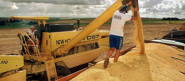 Brasil joga no ralo nova safra recorde de grãos - Sputnik Brasil