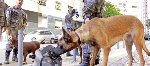 Policiais militares apreenderam três toneladas de drogas apenas no início deste ano - Sputnik Brasil