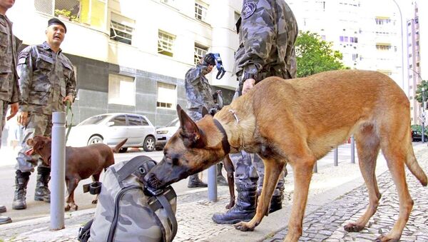 Policiais militares apreenderam três toneladas de drogas apenas no início deste ano - Sputnik Brasil
