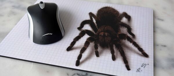 Aranha - Sputnik Brasil