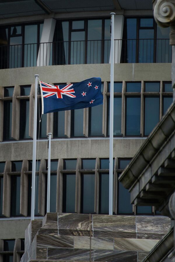 Homem armado com machado quebra portas de vidro do Parlamento da Nova Zelândia (FOTOS) - Sputnik Brasil