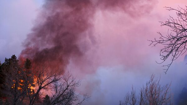 Incêndio atinge floresta nas montanhas de Boulder, Colorado, EUA - Sputnik Brasil