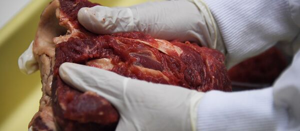 Exportadores falam da contaminação de carne - Sputnik Brasil
