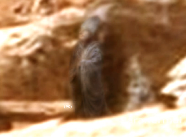 Suposta estátua em Marte após o processamento da imagem - Sputnik Brasil