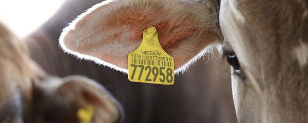 Agronegócio critica ação da PF na Operação Carne Fraca - Sputnik Brasil