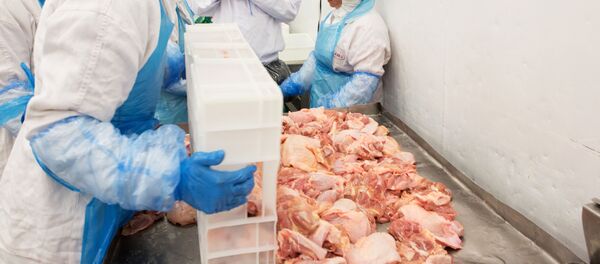 Inspeção de carne brasileira que foi efetuada pelo ministro da Agricultura do Brasil, Blairo Maggi, 21 de março de 2017 - Sputnik Brasil