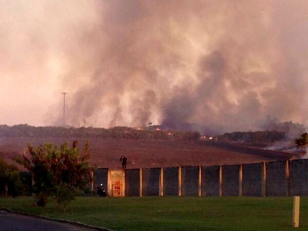 O incêndio na área rural devastou a região atraindo os animais silvestres para o condomínio - Sputnik Brasil