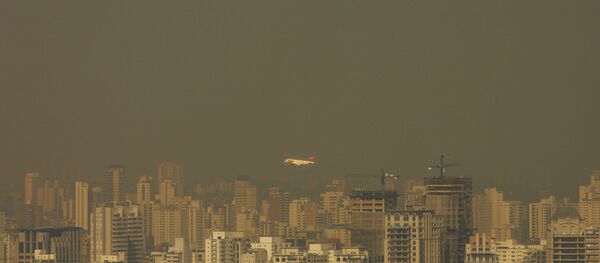 Ibama pode ampliar investigação sobre a Volkswagen - Sputnik Brasil