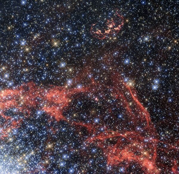 Supernovas podem ter ajudado a moldar o clima da Terra e prova estaria nas árvores, diz cientista Supernovas podem ter ajudado a moldar o clima da Terra e prova estaria nas árvores, diz cientista - Sputnik Brasil