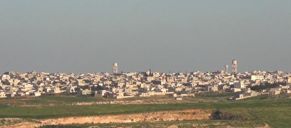 Exército sírio liberta mais uma povoação perto de Hama - Sputnik Brasil