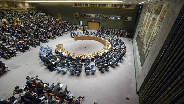 Conselho de Segurança da ONU debate ataque dos EUA à Síria - Sputnik Brasil