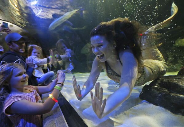 Meninas-sereias durante um show no Oceanário no estado da Virginia - Sputnik Brasil
