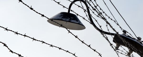 Dia do Holocausto, 27 de janeiro de 2014 - Sputnik Brasil