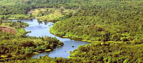 A digitalização, catalogação e vetorização do acervo fundiário é um dos focos da cooperação técnica entre Brasil e União Europeia - Sputnik Brasil