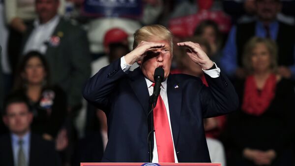 Donald Trump durante um encontro com os eleitores no âmbuto da turnê The USA Thank You Tour (Turnê do Agradecimento pelos EUA) - Sputnik Brasil