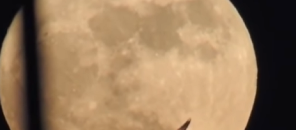 Um objeto misterioso perto da Lua - Sputnik Brasil