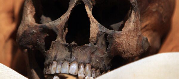 Crânio de múmia (foto de arquivo) Crânio de múmia (foto de arquivo) - Sputnik Brasil