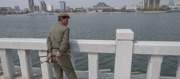 Morador de Pyongyang na marginal do rio Taedong - Sputnik Brasil
