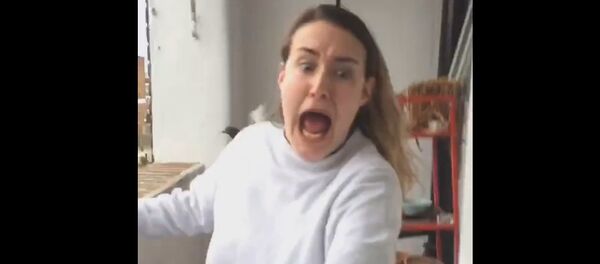 O espanto da pomba - Sputnik Brasil