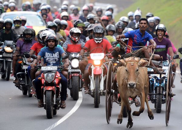 Participantes da corrida em homenagem ao Ano Novo, Sri Lanka - Sputnik Brasil