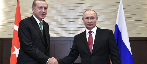 Встреча президента РФ В. Путина с президентом Турции Р. Эрдоганом - Sputnik Brasil