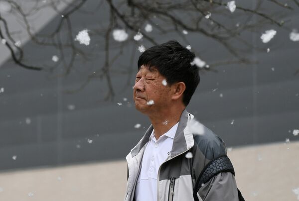 Homem se distrai em meio a nuvem de pólen em Pequim - Sputnik Brasil