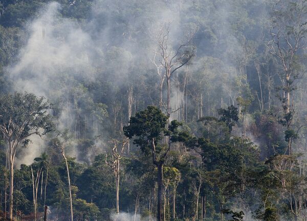 Ausência em evento internacional sobre o clima expôs a 'irrelevância do Brasil', diz especialista Ausência em evento internacional sobre o clima expôs a 'irrelevância do Brasil', diz especialista - Sputnik Brasil