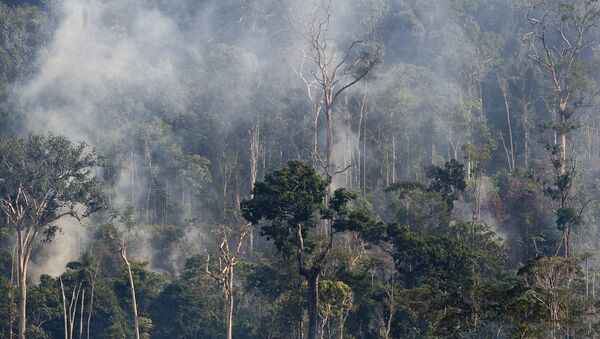 Rastreamento por satélite mostra aumento das queimadas na Amazônia - Sputnik Brasil