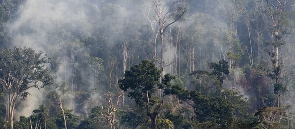Rastreamento por satélite mostra aumento das queimadas na Amazônia - Sputnik Brasil