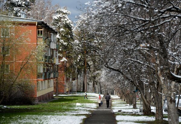 Moradores da cidade russa de Novosibirsk passeiam depois da nevada - Sputnik Brasil