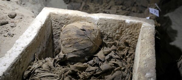 Múmia encontrada na província de Minya, no Egito Múmia encontrada na província de Minya, no Egito - Sputnik Brasil