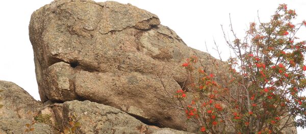 O Dragão – um antigo megalito descoberto nas Montanhas de Altai, na Rússia - Sputnik Brasil