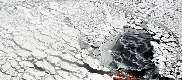 Drones russos serão usados no Ártico ao longo da Rota do Mar do Norte Drones russos serão usados no Ártico ao longo da Rota do Mar do Norte - Sputnik Brasil