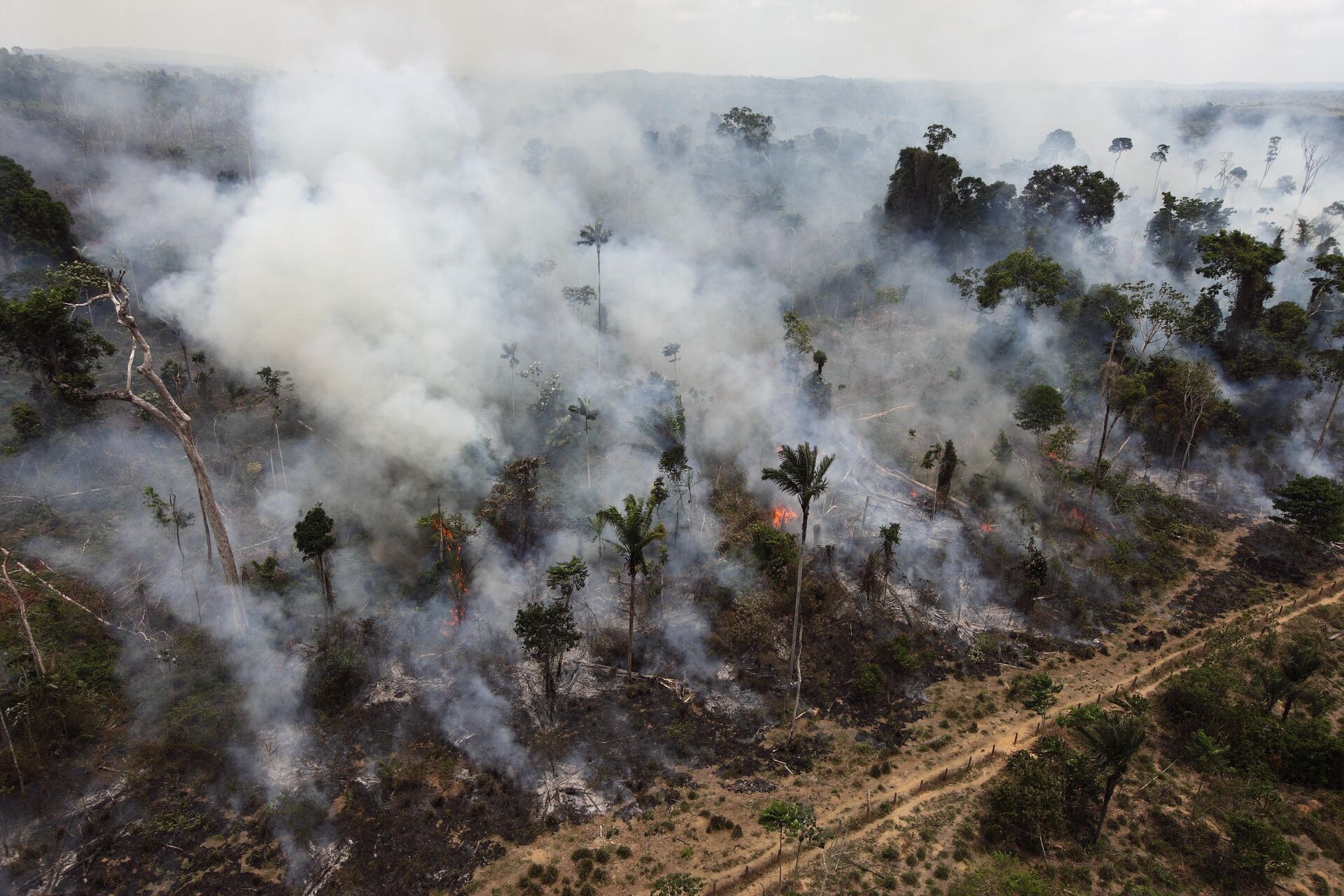 Brasil deve se preparar para sanções e embargos com justificativa ambiental, alerta especialista  - Sputnik Brasil, 1920, 23.02.2021