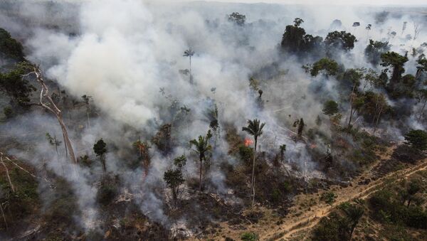 Desmatamento da Amazônia (foto de arquivo) - Sputnik Brasil