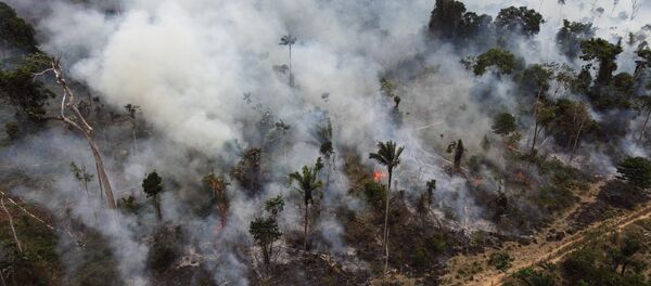 Desmatamaento da Amazônia (foto de arquivo) - Sputnik Brasil